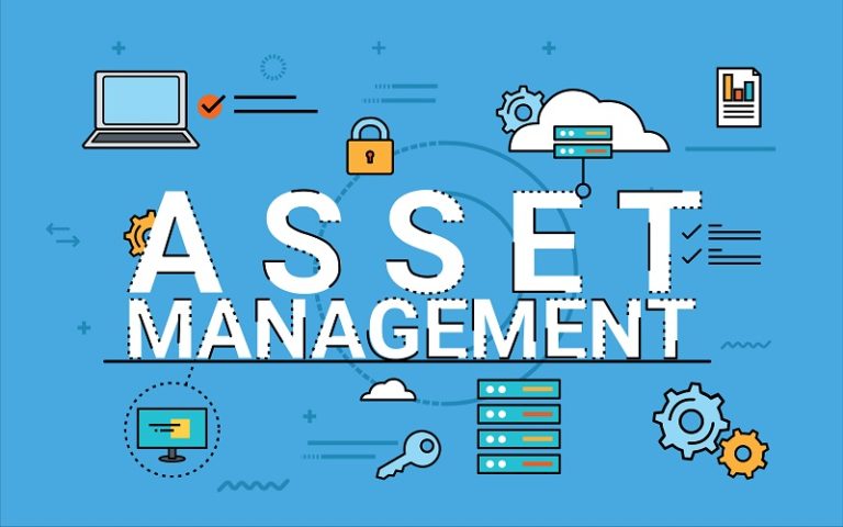 Most Important Asset Management Solutions You Can Opt for