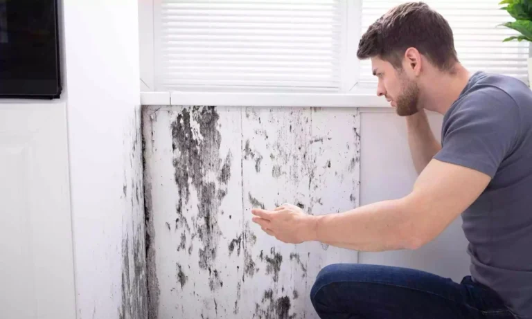Water Seepage in Walls and How to Prevent Costly Structural Damage
